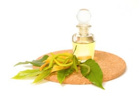 stock-photo-ylang-ylang-aroma-massage-oil (1vista .com