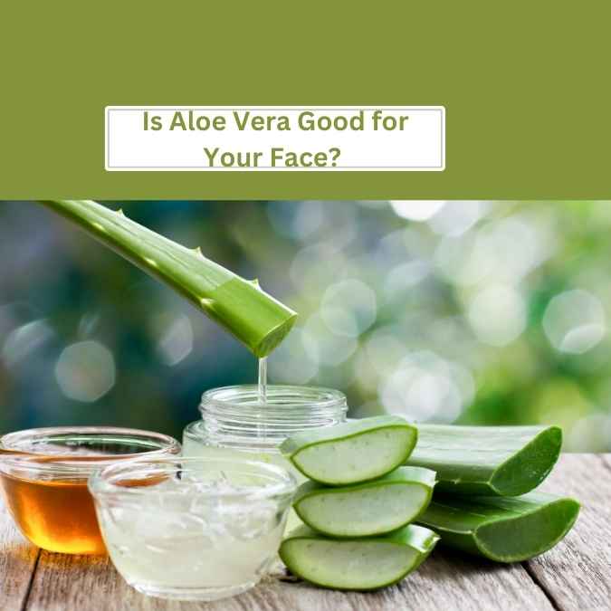 aloe vera