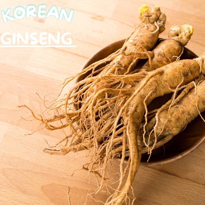  korean Ginseng 